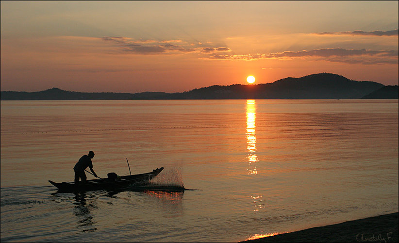 Отели в Самуи